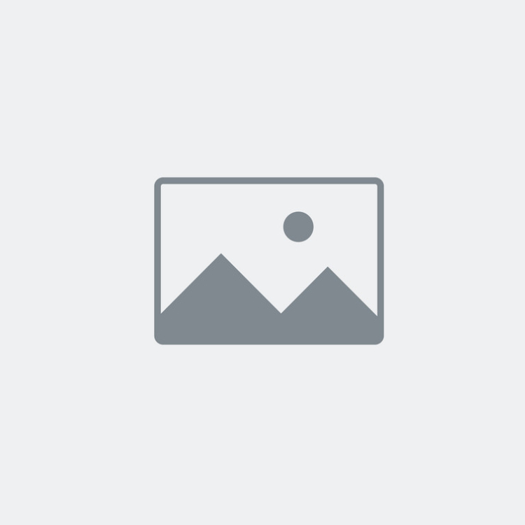 Tarte aux Pommes 600g